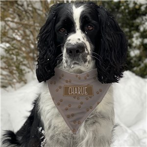 Personalized Brown Paws with Name in box Pet Bandana