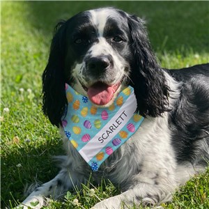Personalized Colorful Eggs with Name Pet Bandana