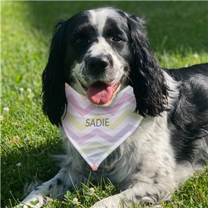 Personalized Easter Chevron with Name Pet Bandana